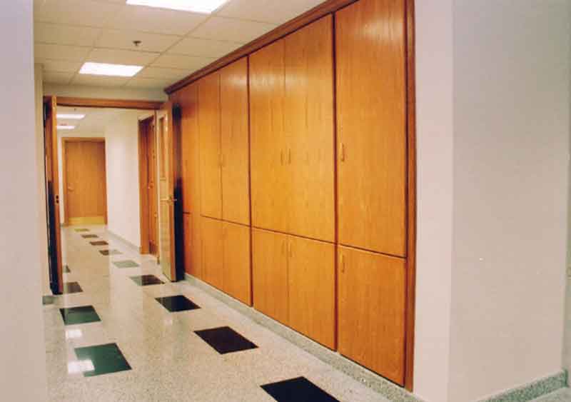 WORLD HEALTH ORGANIZATION (WHO)